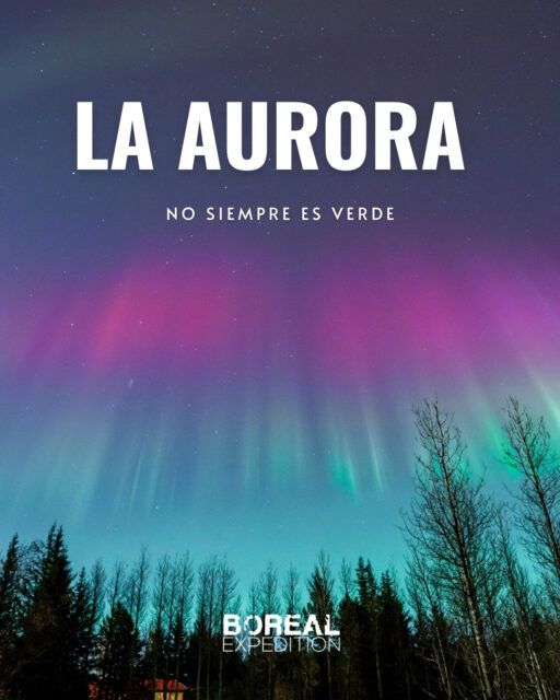 The aurora is NOT always green. Sometimes it gets:
💜 purple
🔴 red
⚪ soft white
and that makes it weirder... and more brutal.

📌 Curious fact:
The colors depend on the height and type of particles in the atmosphere.

What color would you like to see at least once?? 👇 We have financing plans and there are still dates 2026 available. Write to us.
.
.
.
#BorealExpedition #AuroraColors #NorthernLights #Islandia2026 #IcelandTrip #TravelFacts