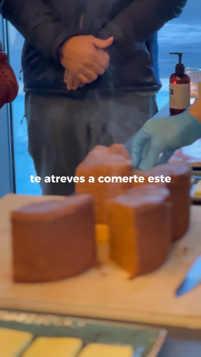 ⚠️ÚLTIMOS CUPOS ⚠️ FOODIE ADVENTURE ICELAND 2026
Expedición premium por Islandia donde la aventura y la gastronomía van juntas… y tú solo tienes que llegar y disfrutar.

🔥 @borealdude estará a cargo de TODAS las comidas del viaje.
✅ Todo incluido: alojamientos, transporte, experiencias + seguro médico y protección a la inversión.
👥 Grupo pequeño: máximo 18 viajeros por salida.

📅 2 FECHAS DISPONIBLES (10 días / 9 noches)

SOLO SUR ❄️
* 12–21 Nov 2026
* 23 Nov–02 Dec 2026

💳 ¡Reserva con $500 y paga en cuotas!
💡 Mientras antes reserves, más meses tienes para pagar y más cómodas quedan las cuotas.

📩 ¿Quieres precios, disponibilidad y plan de pagos?
Comenta FOODIE para enviarte toda la información.
.
#FoodieAdventureIceland #BorealExpedition #Islandia2026 #AurorasBoreales