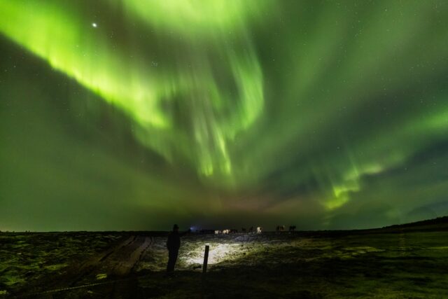 When the dawn appears, no one knows what to do. 🌌😅

some scream.
Others remain silent.
Some try to record.
Everyone understands that they are seeing something special.

📌 We look for dark areas and check conditions before leaving.
✅ There is financing and dates 2026-2027. We monitor the weather to hunt auroras 🌌
.
.
.
#BorealExpedition #AuroraBoreal #NorthernLights #TravelFriends #Islandia2026