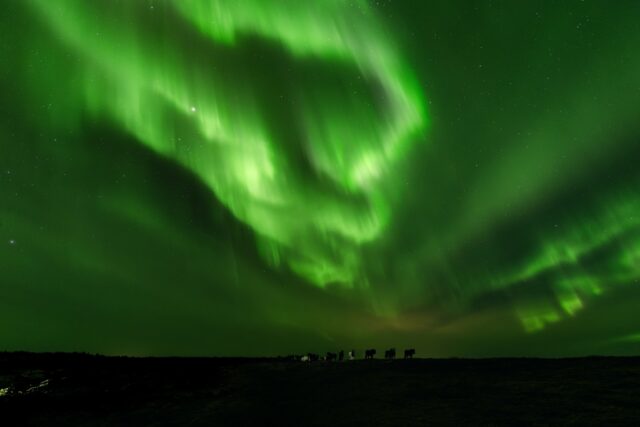Seeing the Northern Lights is one of those moments that stay forever.: cold in the face, silence and the sky doing magic. ✨

On our tours we do not go out at random: we monitor the weather, clouds and visibility to coordinate the best possible exit.

✅ We have financing plans and dates available 2026-2027.
Write to us “AURORA” and we will send you options.
.
.
.
#BorealExpedition #AuroraBoreal #NorthernLights #Islandia2026 #Islandia2027 #AuroraHunting #ViajesPremium