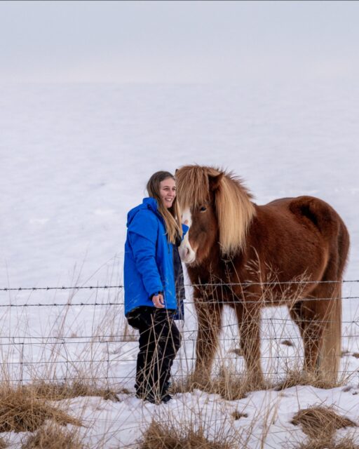 Icelandic horses have something special. 🐴🇮🇸 Small ones, strong and perfectly integrated into the landscape.

You find them next to roads, mountains and open fields… and you usually end up wanting to photograph everyone. 📸😅

Another detail that makes Iceland feel different.

🧭 Discover Iceland beyond its famous places. Check our upcoming expeditions in the link in bio.
.
.
.
#Islandia #ViajesAIslandia #IcelandTours #BorealExpedition