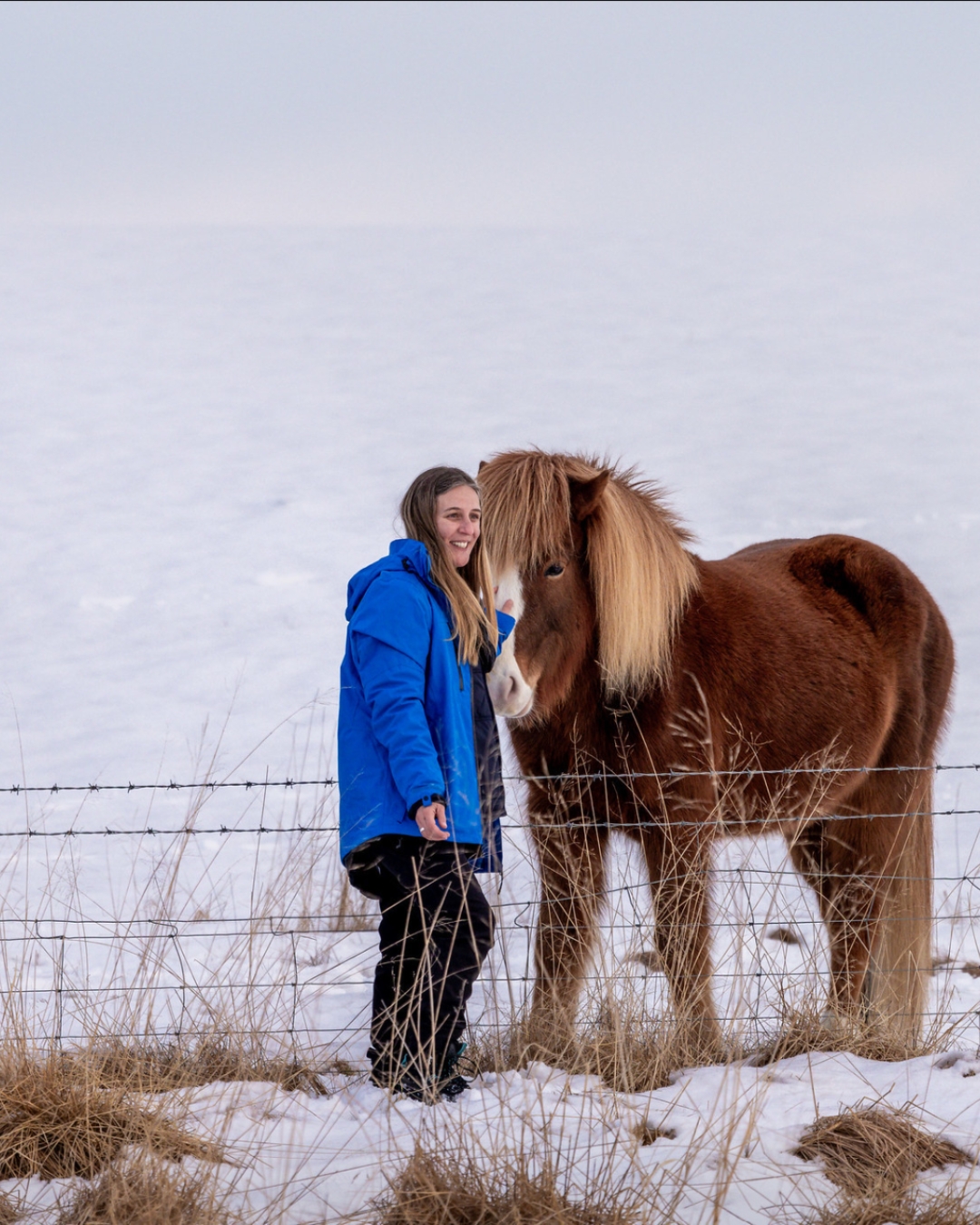 Los caballos islandeses tienen algo especial. 🐴🇮🇸 Pequeños, fuertes y perfectamente integrados en el paisaje.

Los encuentras junto a carreteras, montañas y campos abiertos… y normalmente terminas queriendo fotografiar a todos. 📸😅

Otro detalle que hace que Islandia se sienta diferente.

🧭 Descubre Islandia más allá de sus lugares famosos. Consulta nuestras próximas expediciones en el link en bio.
.
.
.
#Islandia #ViajesAIslandia #IcelandTours #BorealExpedition