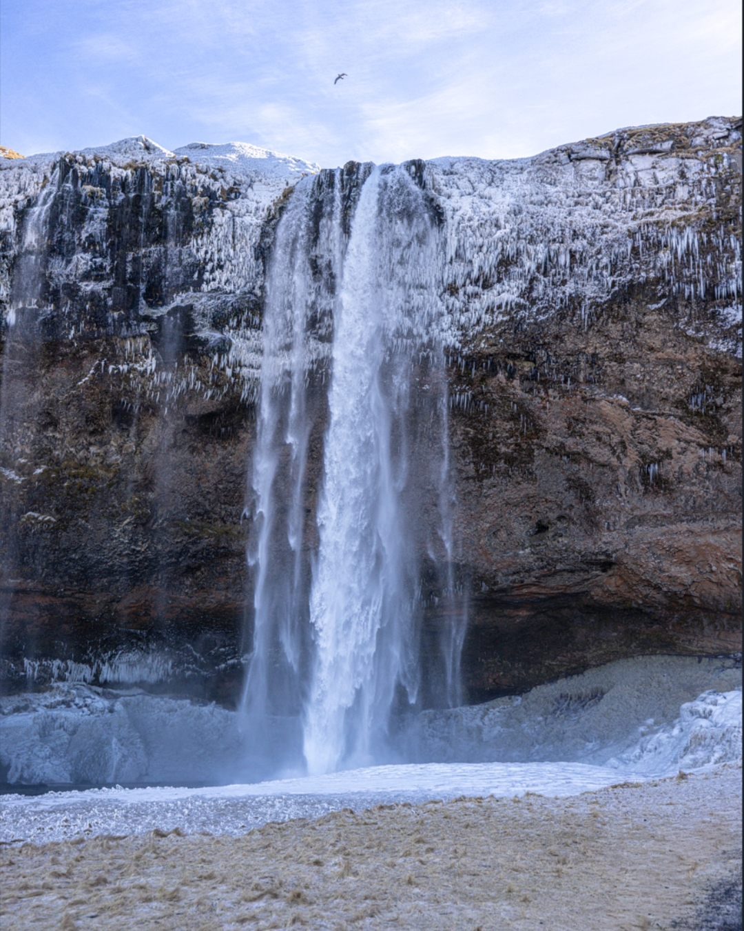Hay cascadas que no se contemplan. Se escuchan 💦 Primero sientes el estruendo. 🌊

Después aparece frente a ti una pared de agua cayendo entre montañas, roca y niebla. En Islandia, hasta una parada frente a una cascada puede convertirse en uno de los recuerdos más intensos del viaje. 🇮🇸✨

Ven a descubrirlas con nosotros. 🧭 Consulta nuestras rutas disponibles desde el link en bio.✅ Tenemos financiamiento
.
.
.
#Islandia #ToursIslandia #IcelandTours #BorealExpedition