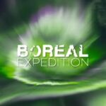 @borealexpeditioniceland