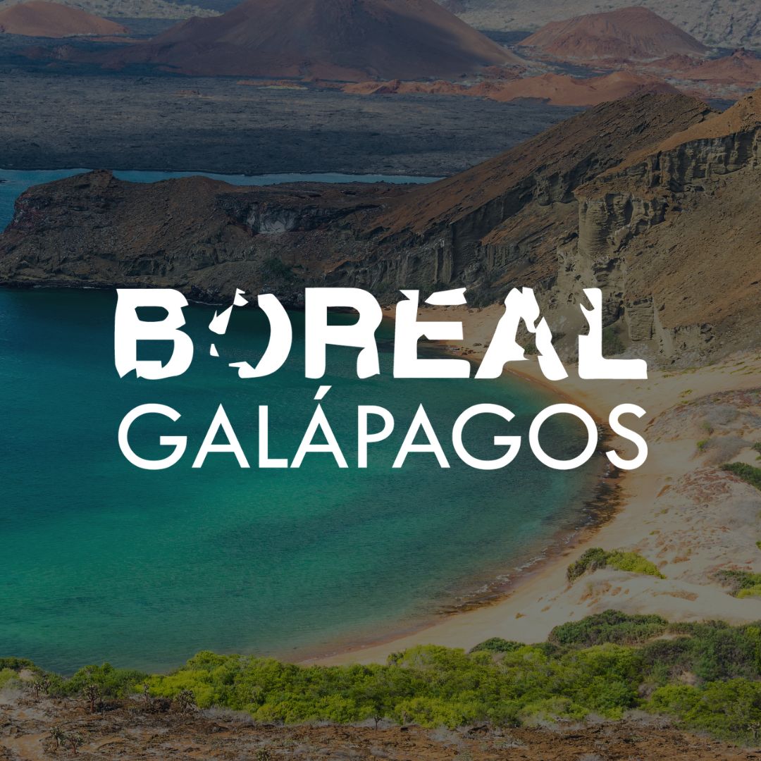 Boreal Galápagos