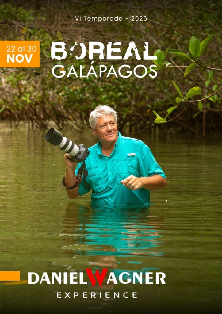 Daniel Wagner Experience Boreal Galápagos-Noviembre 22 al 30